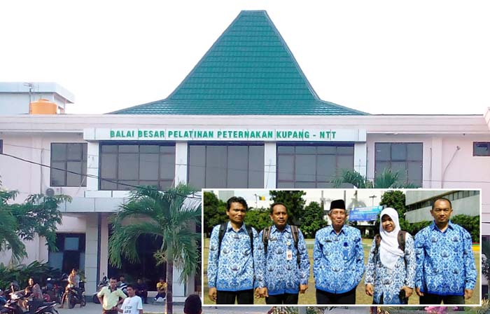 BBPP Kupang Terbaik ke-2 Keterbukaan Informasi Publik PPID Eselon Dua Kementan